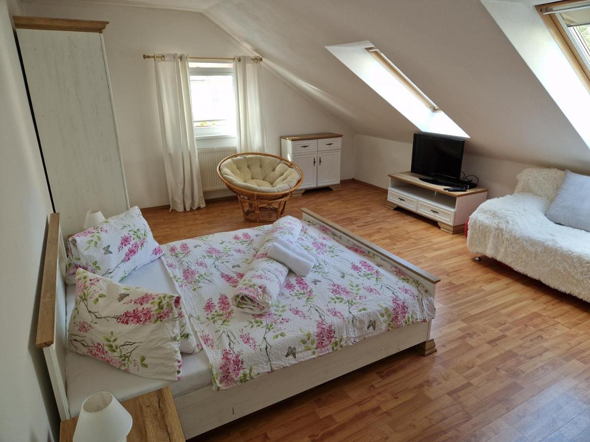 Pension St. Maria Staré Hory エクステリア 写真