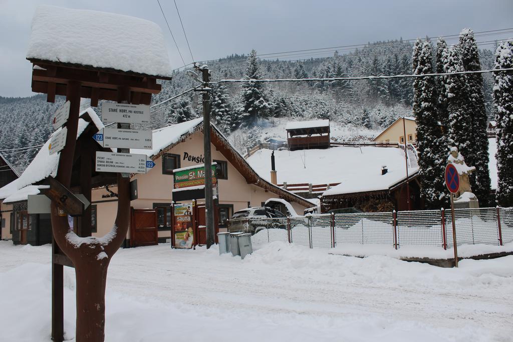 Pension St. Maria Staré Hory エクステリア 写真